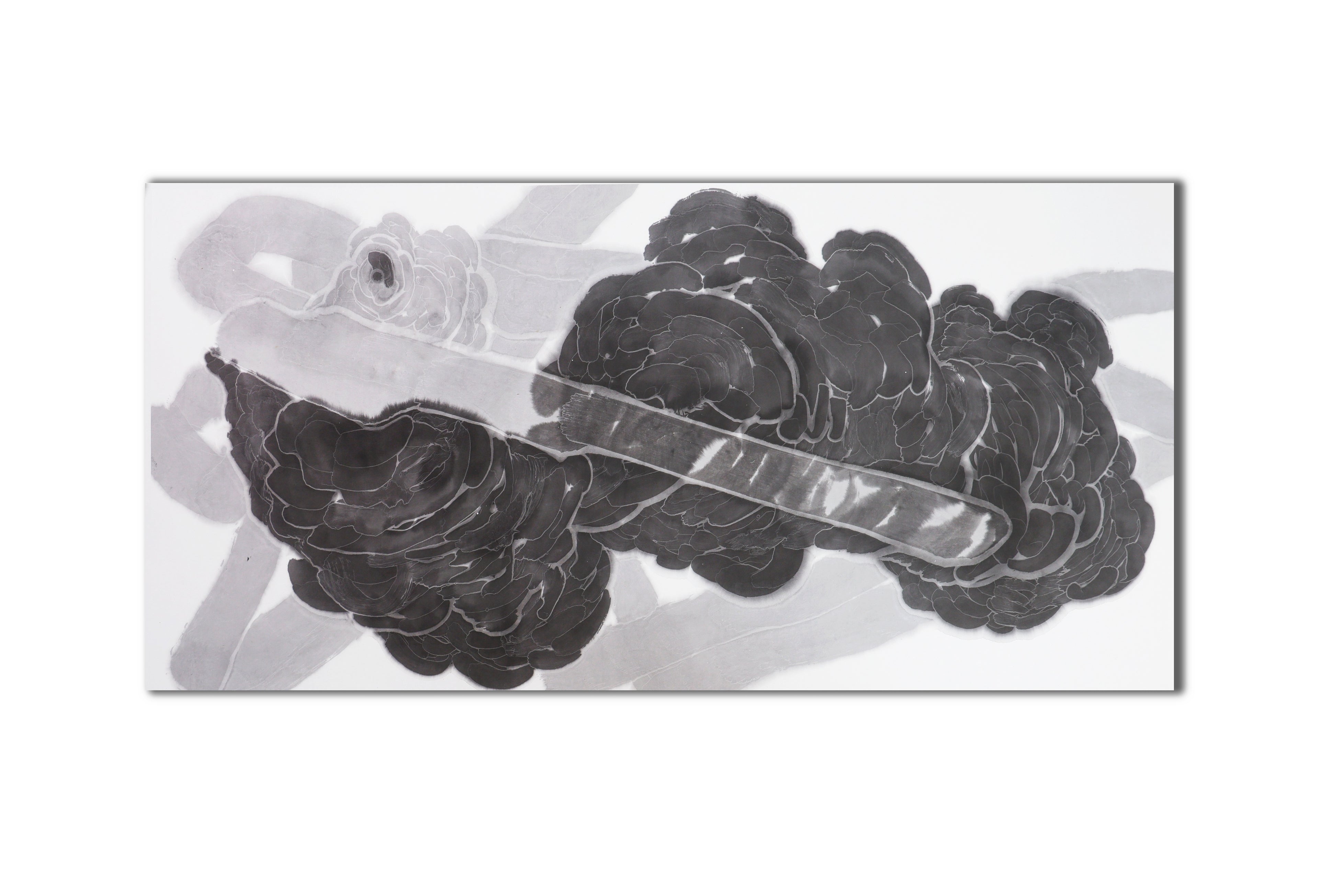 The New Species Series - 54.3'' × 26.8''