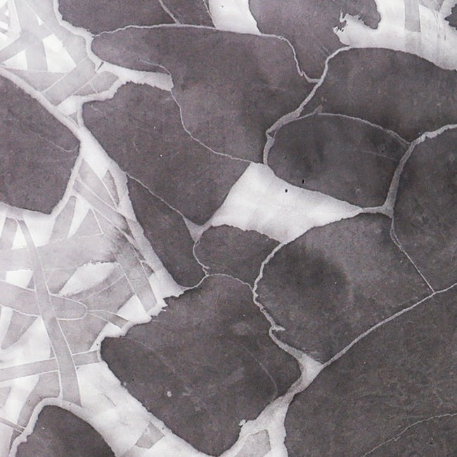 He Jun | The New Species Series — Contemporary Chinese Ink Painting