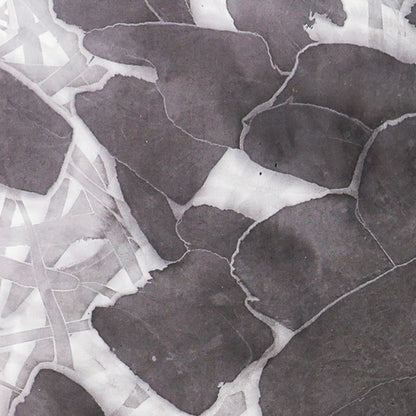 He Jun | The New Species Series — Contemporary Chinese Ink Painting