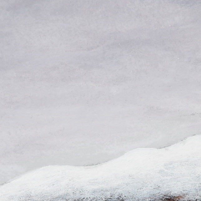 The Gaze Upon Tibet Series，27.6" × 27.6"