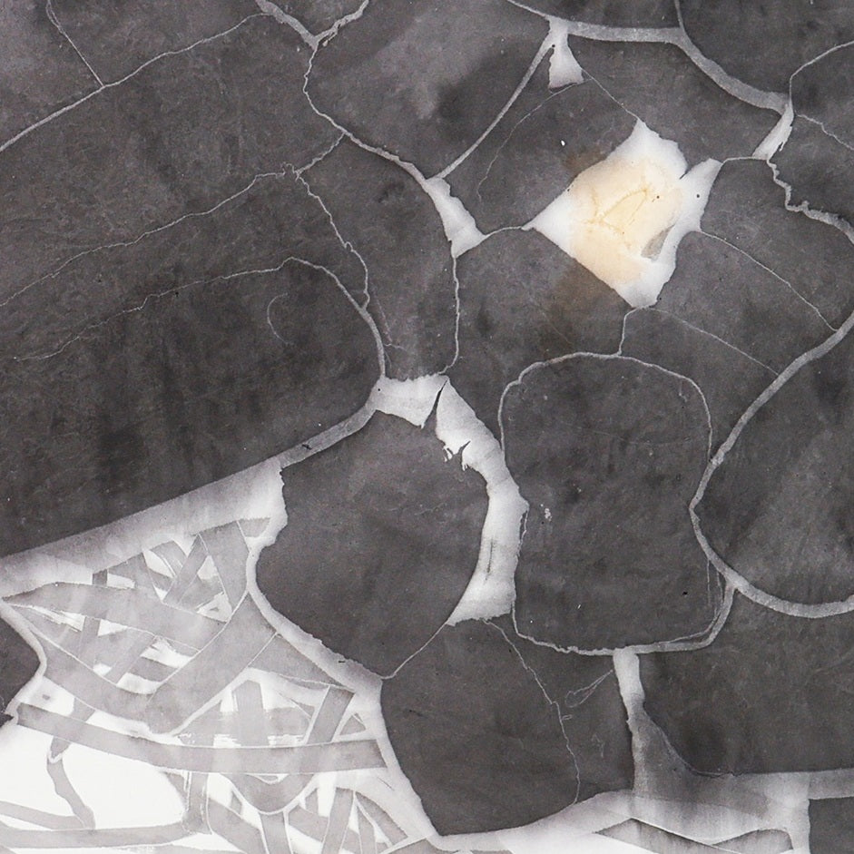 He Jun | The New Species Series — Contemporary Chinese Ink Painting