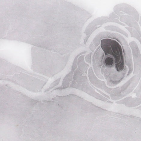 The New Species Series - 54.3'' × 26.8''