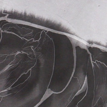 He Jun | The New Species Series — Contemporary Chinese Ink Painting