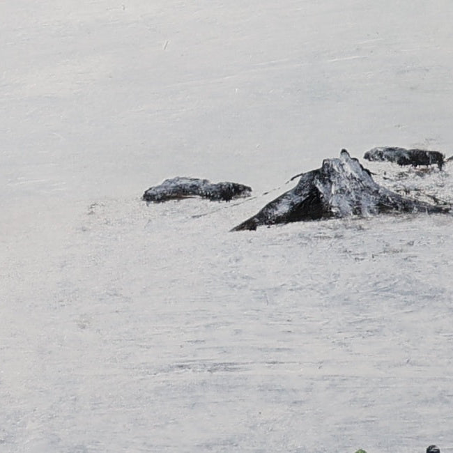 The Gaze Upon Tibet  Series，27.6" × 27.6"