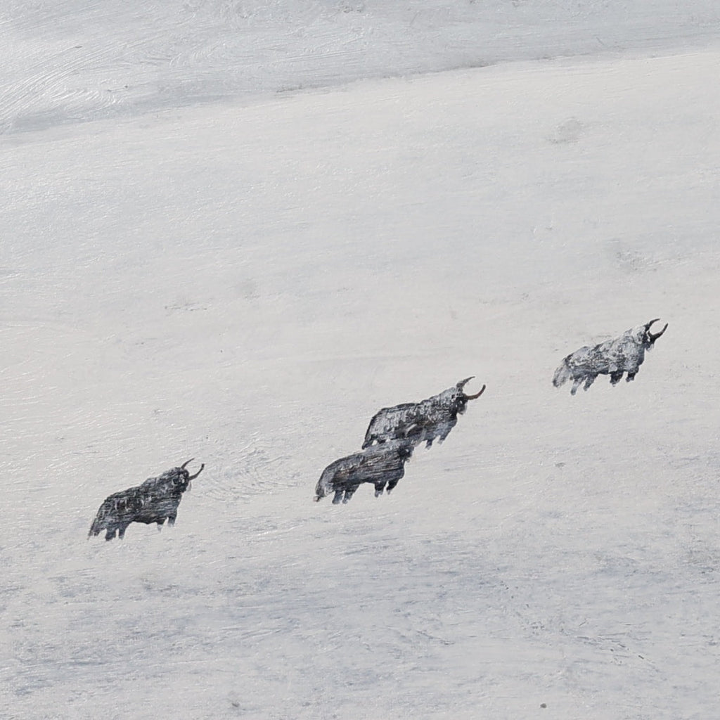 The Gaze Upon Tibet  Series，27.6" × 27.6"