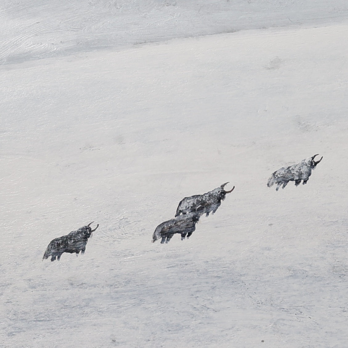 The Gaze Upon Tibet  Series，27.6" × 27.6"