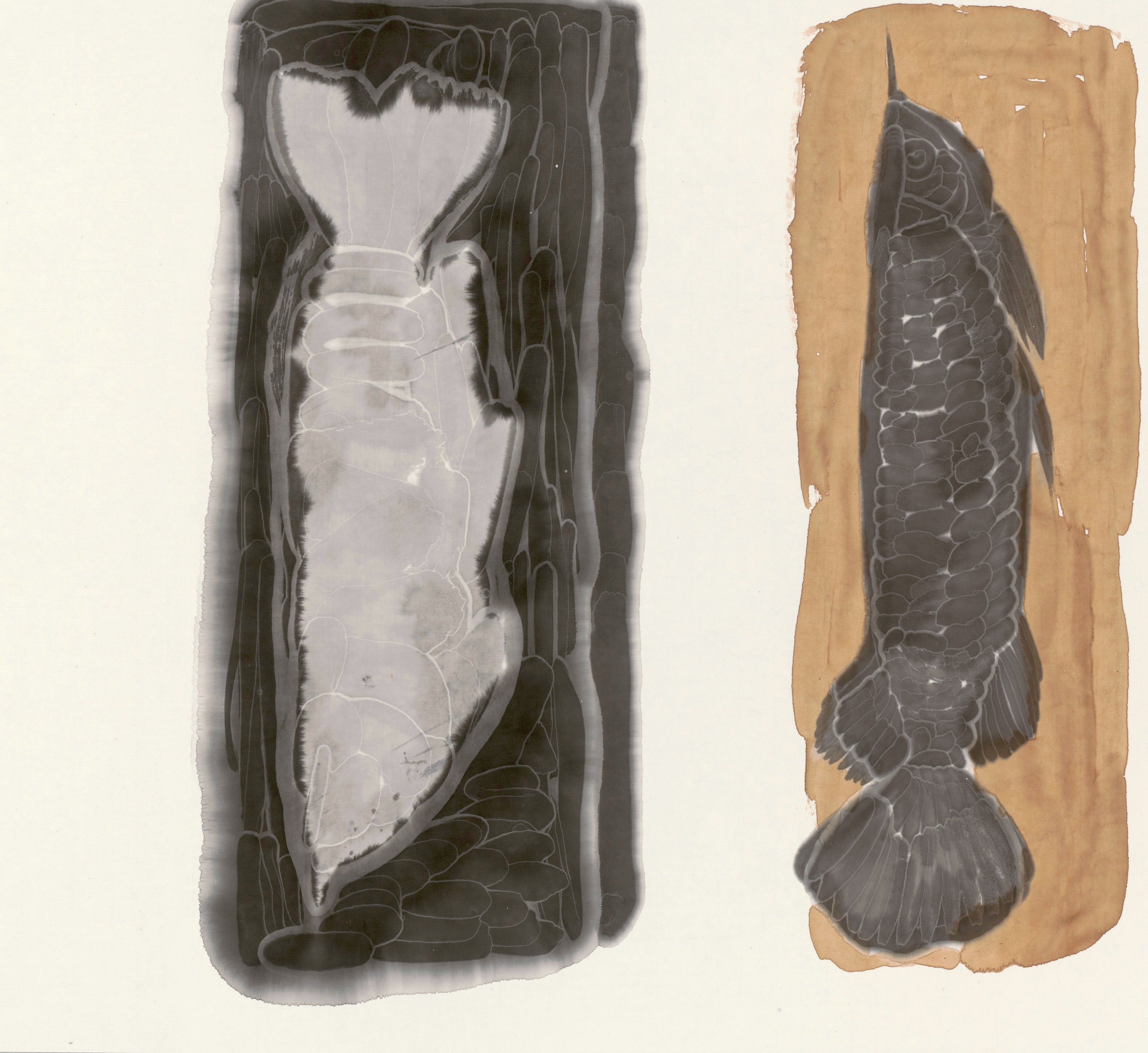 The New Species Series - 54.3'' × 26.8''