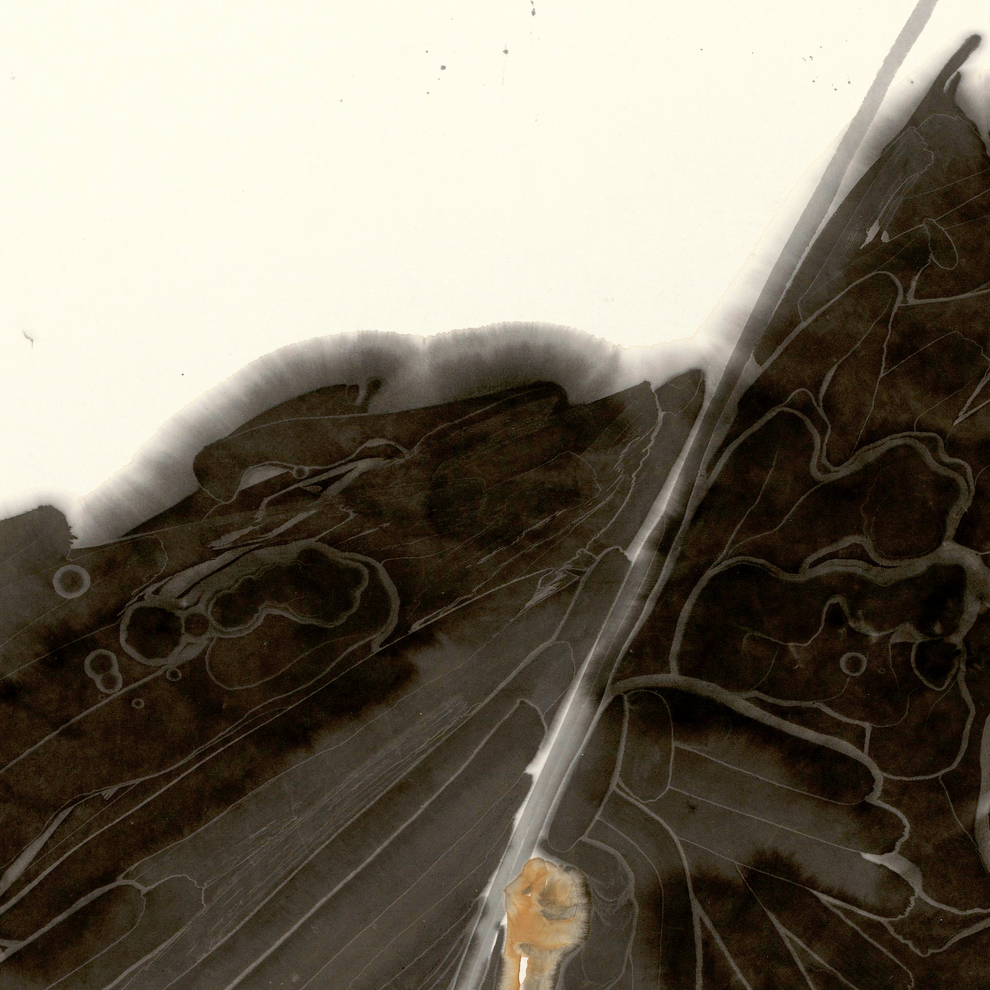 He Jun | Shout  - 54.3'' × 26.8''