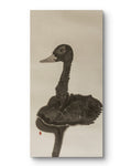 Silent Swan - Chinese Ink Painting 54.3'' × 26.8'' | Chinese Original Painting | Magic Bear Art