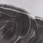 The New Species Series - 54.3'' × 26.8'' | Original Painting by Chinese Artist | Magic Bear Art