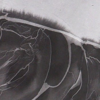 The New Species Series - 54.3'' × 26.8'' | Original Painting by Chinese Artist | Magic Bear Art