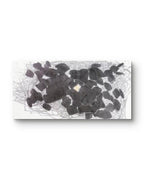The New Species Series - 54.3''× 26.8'' | Chinese Original Painting | Magic Bear Art